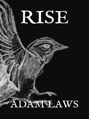 cover image of Rise